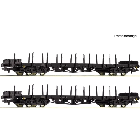 Roco 6600142 - 2er Set Rungenwagen Rs DB