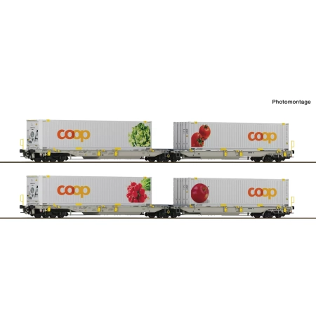 Roco 6600322 - 2er Set Doppeltaschenwagen T2000 + Coop #1