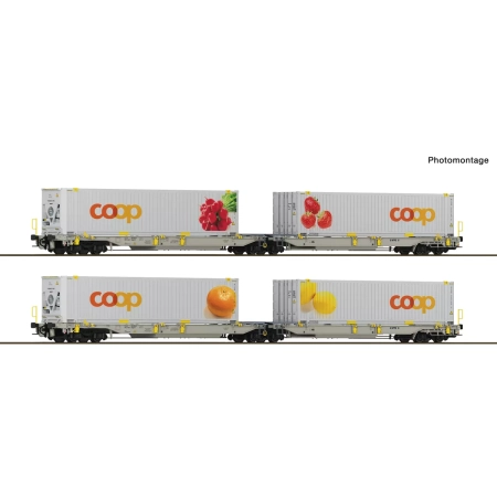 Roco 6600323 - 2er Set Doppeltaschenwagen T2000 + Coop #2