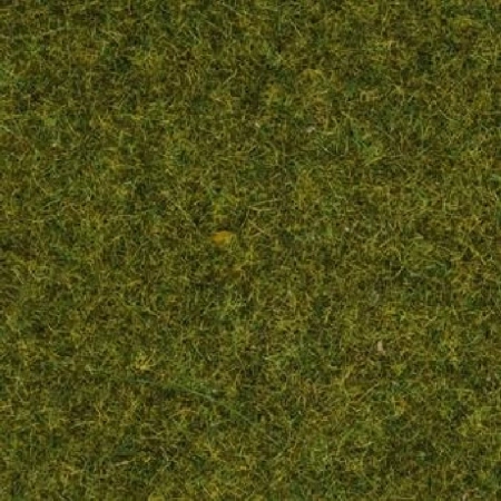 Noch 08312 - Trawka łąkowa o grubości 2,5 mm, 20 g