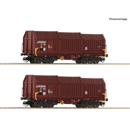 Roco 6680009-2 - Zestaw 2 wagonów teleskopowych Shimmns, DR, Ep.IV
