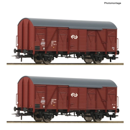 Roco 6600151 - Zestaw 2 wagonów Gs, NS, Ep.IV