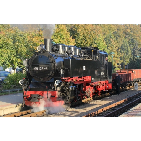 Bemo 1017896 - Parowóz 99 1781-6, RüBB, Ep.VI