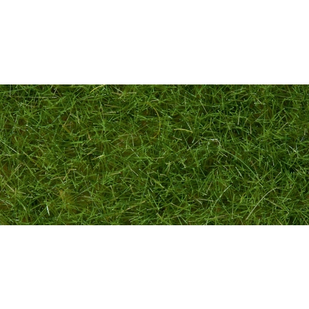 Noch 07102 - Dzika trawa o długości 6 mm, jasnozielona, 50 g