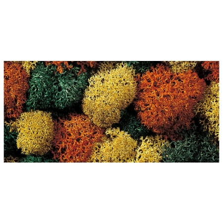 Noch 08630 - Mech dekoracyjny, jesienny, 35g