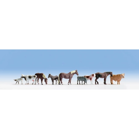 Noch 36713 - Zwierzęta gospodarskie