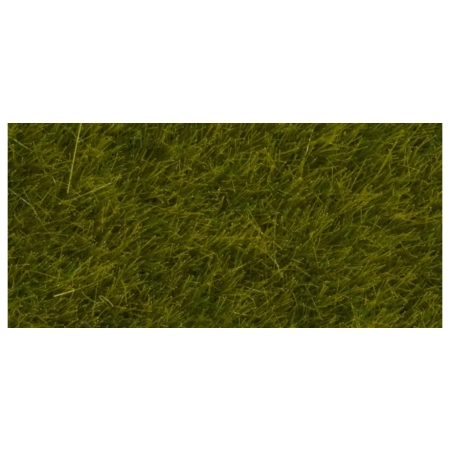 Noch 07090 - Dzika trawa łąkowa długość włókna 6 mm, 100 g