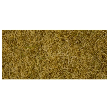 Noch 07091 - Dzika trawa beżowa o długości 6 mm, 100 g