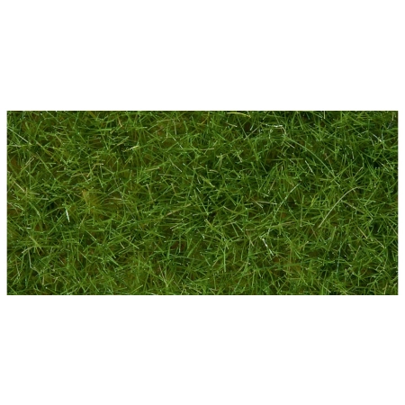 Noch 07092 - Dzika trawa jasnozielona długość włókna 6 mm, 100 g