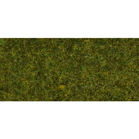 Noch 08152 - Trawka statyczna, łąka, 2,5 mm, posypka 120g.