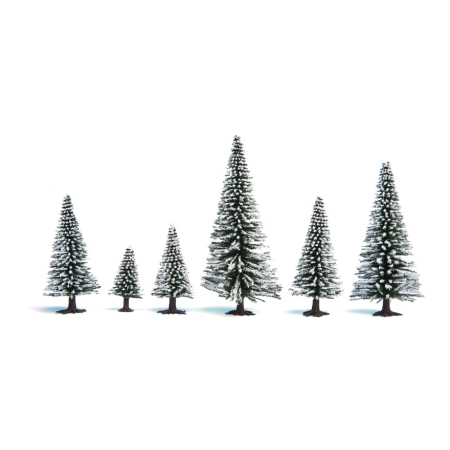 Noch 26828 - Jodły śnieżne, 25 elementów, wysokość 5-14 cm