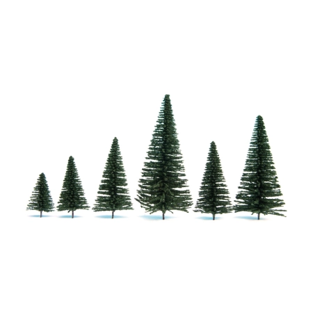 Noch 26831 - Jodły, 50 sztuk, wysokość 5 - 14 cm