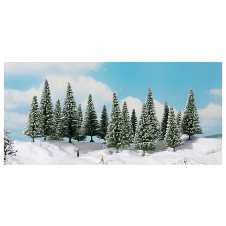 Noch 24683 - Jodła śnieżna, 16 sztuk, wysokość 4-10 cm