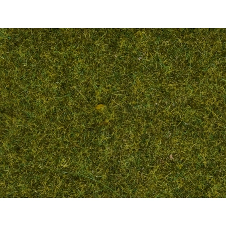 Noch 08361 - Trawka statyczna „Łąka”, 4 mm, 20 g