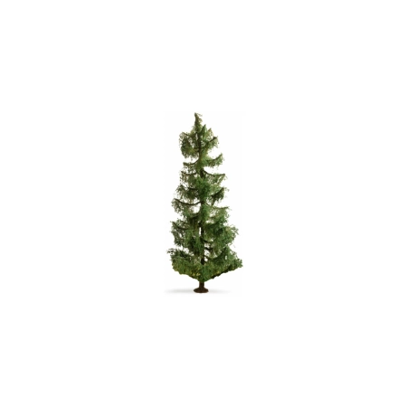 Noch 20190 - Świerk, wysokość 19 cm