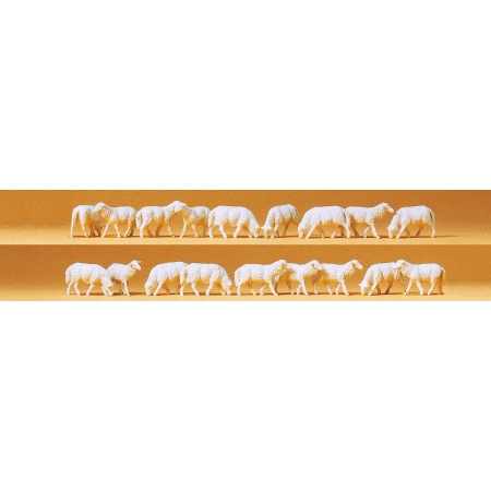 Preiser 14161 - Owce, 18 sztuk