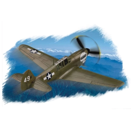 HOBBY BOSS - 80252 P-40N Warhawk - 1:72