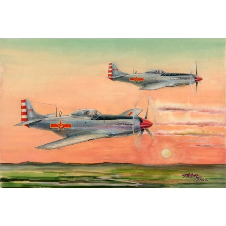 HOBBY BOSS 85807 - PLAAF P-51D/K Mustang - 1:48