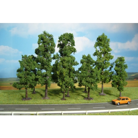 Heki 1323 - 10 buków 10-18 cm