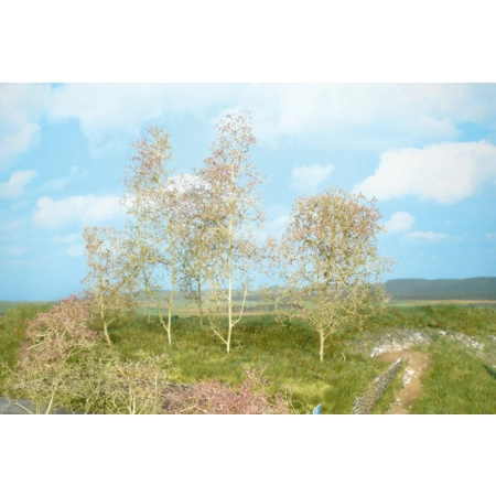 Heki 1370 - Drzewka naturalne