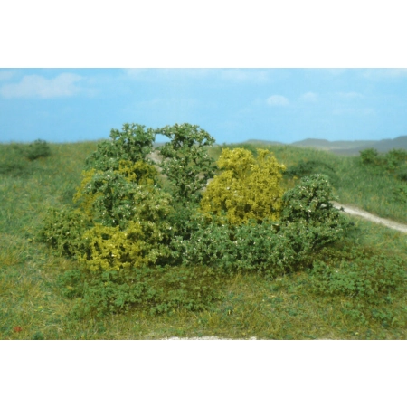 Heki 1646 - 20 naturalnych drzew