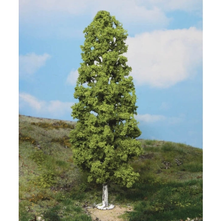Heki 1985 - 1 brzoza 27 cm
