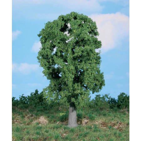 Heki 1987 - 1 dąb 20 cm