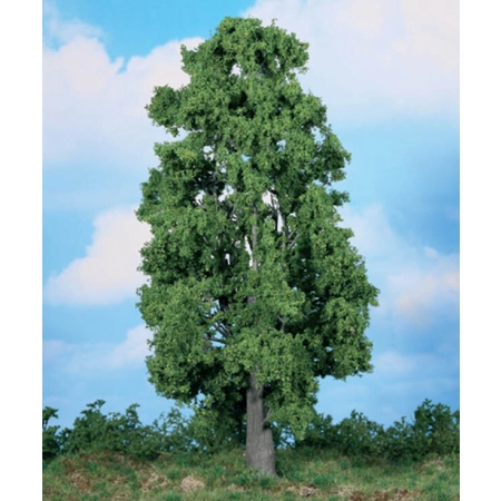 Heki 1988 - 1 kasztanowiec 30 cm