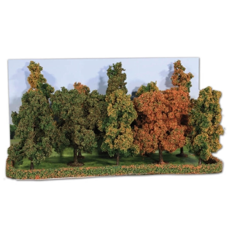 Heki 2000 - 10 jesiennych drzew, wysokość 10-14 cm
