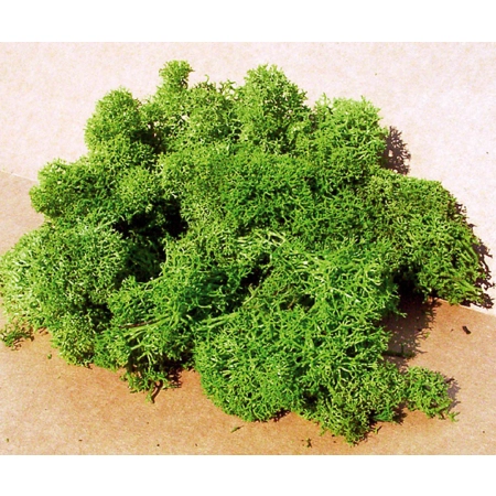Heki 3230 - Mech islandzki jasnozielony, 250g