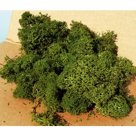 Heki 3234 - Mech islandzki średni zielony, 250g