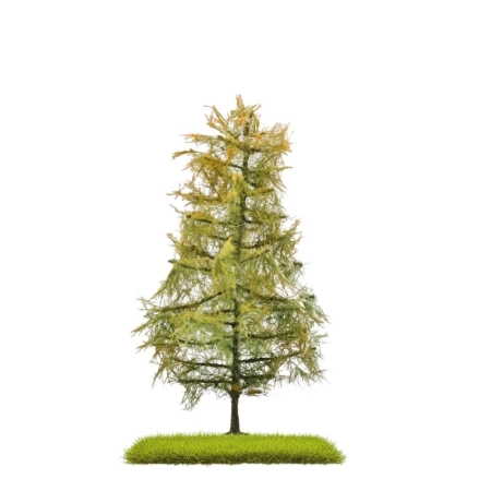 Busch 3816 - Dwukolorowy modrzew późne lato 140 mm