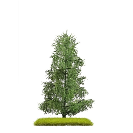 Busch 3806 - Pojedyncza świerk 140 mm