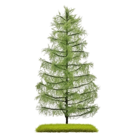 Busch 3813 - Pojedyncza modrzew letni 210 mm