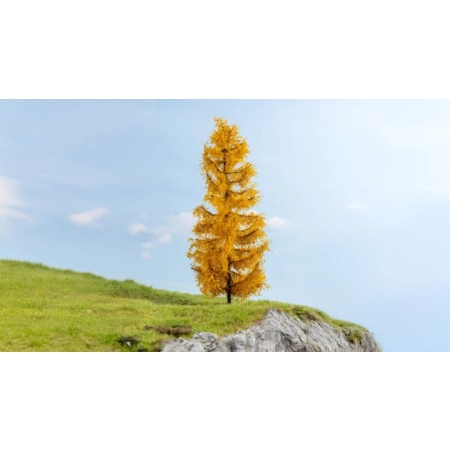 Noch 20169 - Modrzew, jesienny, wysokość 22 cm