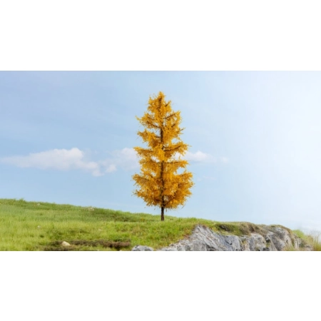 Noch 20167 - Modrzew, jesienny, wysokość 17 cm