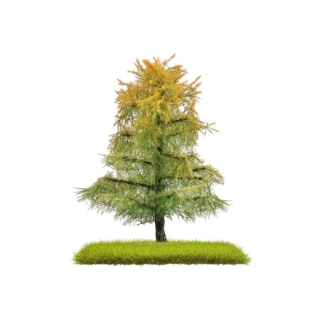 Busch 3815 - 2 dwukolorowe modrzewie późne lato 80 mm