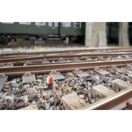 Noch 13607 – Ukresy, 10 sztuk, druk 3D