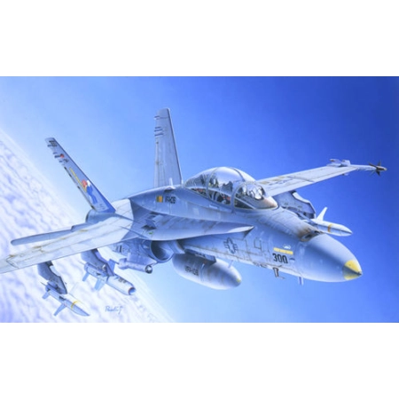 Italeri 0016 - F/A-18C/D Wild Weasel